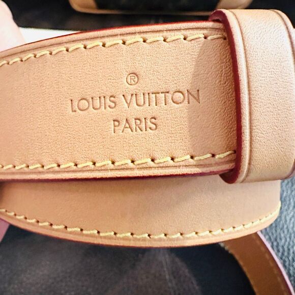 Louis Vuitton Odeon PM - Picture 5 of 16